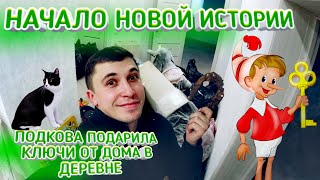 видео