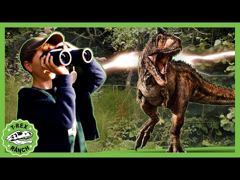 T-Rex Park for Kids - Attack of the Jurassic GIANT! | 🦖🦕 T-Rex Ranch Dinosaur Videos