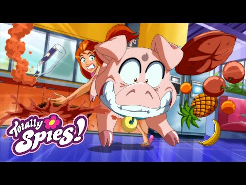 🔎🌸 Dog Show Showdown | Totally Spies! | Family Fun Cartoons