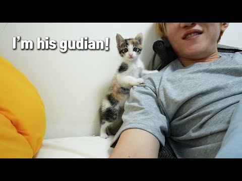 The Kitten I Rescued is Now Trying to Protect Me!