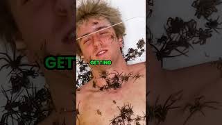 Arachnophobia Test: 10 Minutes with Spiders #mrbeast #challenge #viral #funny