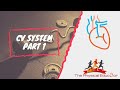 Understanding the Cardiovascular System