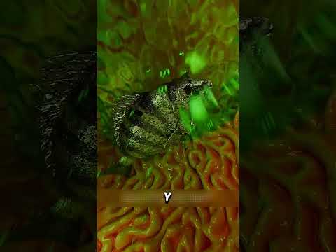 Y SI TE TRAGAS UN PESCADO VIVO? #shorts #tiktok #memes #curiosidades créditos:Zack D. Films