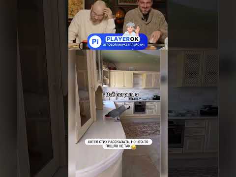 Экспромт от попугая! Нельзя смеяться ч. 105 #шортс #юмор #смех