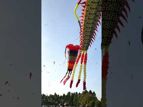 Diều Khổng Lồ Cần Thơ