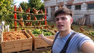 Rozładunek 2 skrzyniopalet!!!  - Grzędy ZA DARMO?