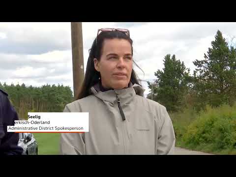 YouTube video thumbnail: German Farms set to Cull 130,000 Ducks and Chickens 
