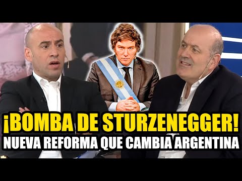 STURZENEGGER ANUNCIÓ REFORMA BOMBA DE MILEI QUE CAMBIA LA ARGENTINA