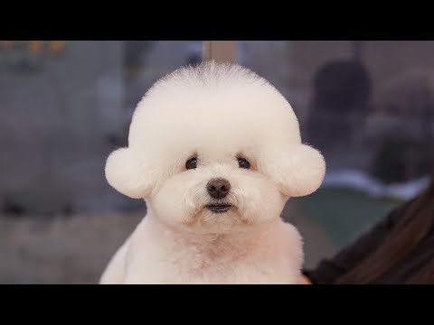 기부니가 좋아지고 시퍼?