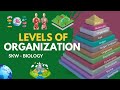 Exploring Levels of Biological Organization