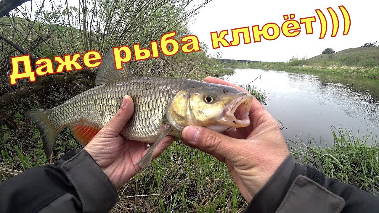 Рыбалка на спиннинг с берега. И даже рыба клюёт)