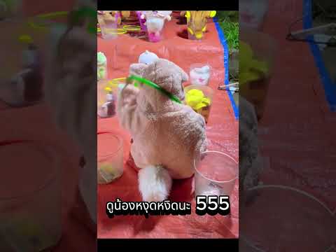 อดทนไว้ลูก เด๋วพ่อเค้าก็โตแล้ว