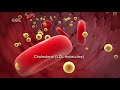Cardiovascular Health and Conditions