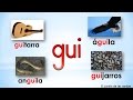Exploring Syllables Gue and Gui