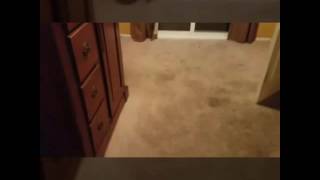 Waterbottle flipping