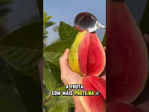 As FRUTAS e seus BENEFÍCIOS NUTRICIONAIS! 🧐🍉