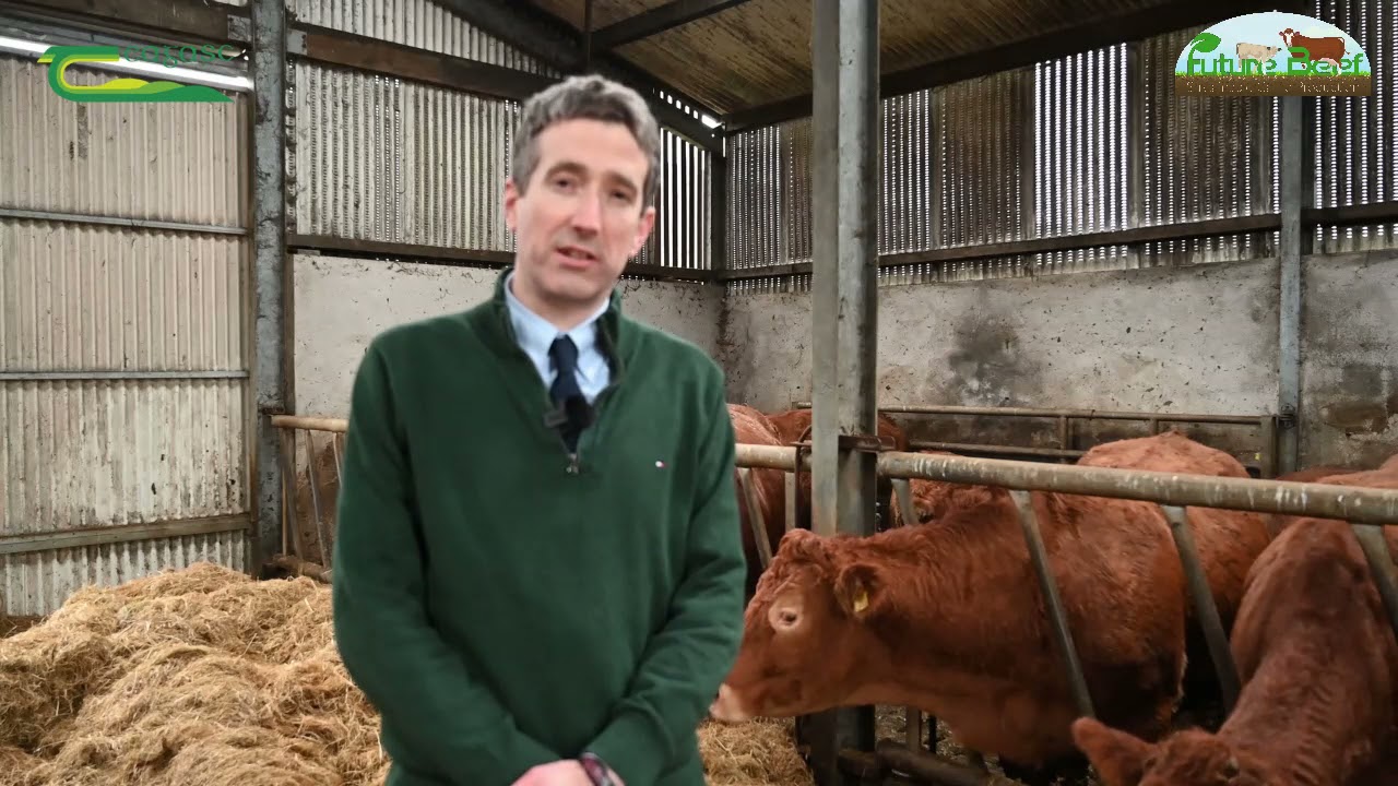 Teagasc Future Beef Launch – Joe Ryan, Meat Industry Ireland