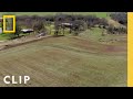 Understanding Food Forest Planning Concepts
