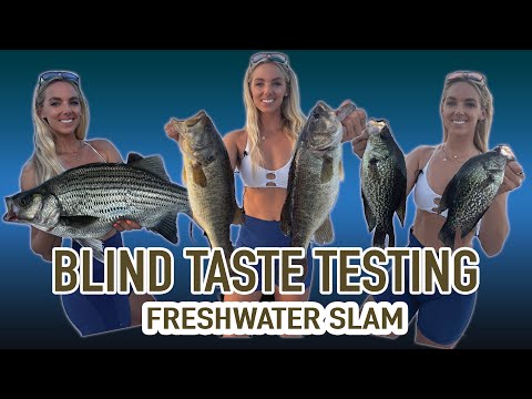 Blind Taste Testing - Large Mouth, Crappie, Striped Bass