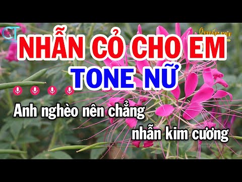 Karaoke Nhẫn Cỏ Cho Em Tone Nữ Bm | Nhạc Sống Phối Mới || Karaoke Tuấn Kiệt