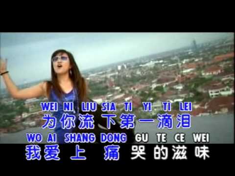 DI YI DI LEI 第一滴泪 – Huang Jia Jia 黄佳佳