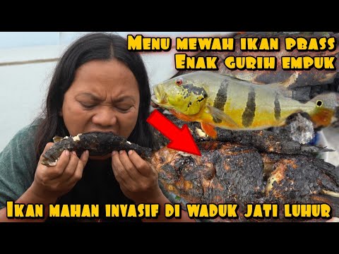 MENU MAHAL IKAN BAKAR PBASS MONO HASIL ALAM