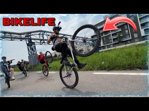 RASSEMBLEMENT BIKELIFE NANCY - INSANE