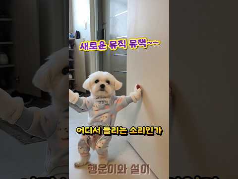 어디선가 들려오는 뮤직뮤직