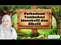 Perbedaan Tumbuhan Monokotil dan Dikotil