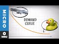 Understanding Demand Curves