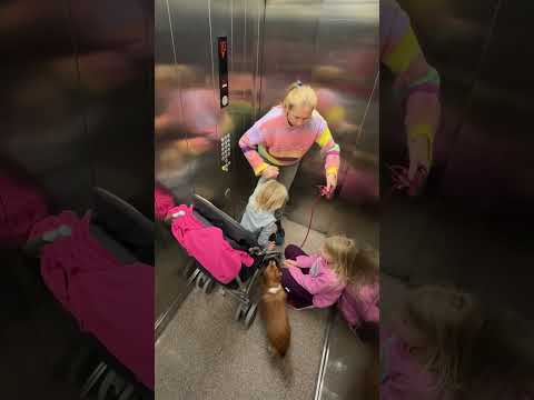 Mom instincts activated at the perfect moment โค๏ธ