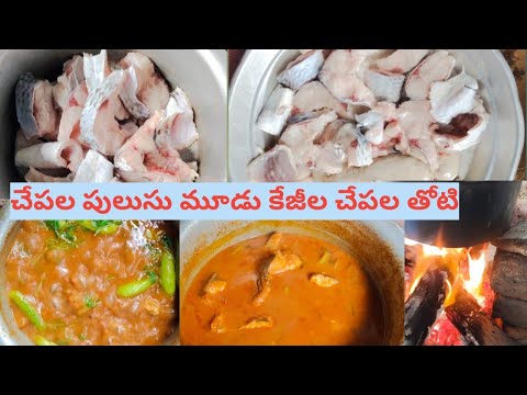 పచ్చి చేపల పులుసు సింపుల్ గా ఇంట్లో ఉన్న వాడితోటి ఈజీగా ఇలా చేసుకోండి చేపల పులుసు