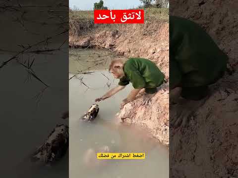 الثقه المفرطه قد تتسبب لك في الكثير من المشكلات 😱فكن حذر #shorts