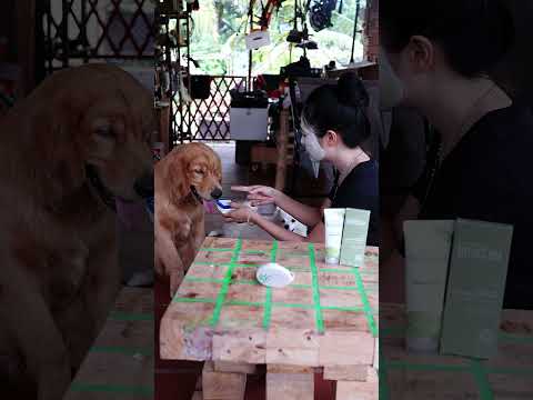 Cắn vậy mà bà dà chưa vừa ý nữa