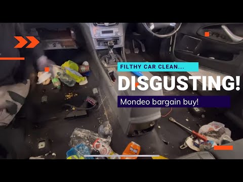 Just pure cleaning noise /ASMR/...Cleaning a disgusting auction car! (mondeo without music)