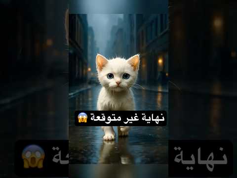 القطة السوداء تتخلص من بسبوس وترميه في البحر 😮😱 | نهاية صادمة 🙀