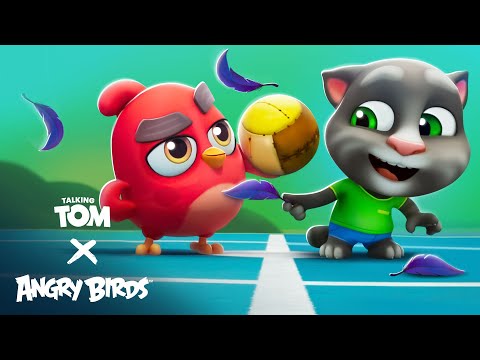 Angry Birds X Talking Tom 🐷💥⚽ Tickle Tackle Ball