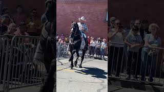 Dancing Horse in The Dalles, April 25, 2026