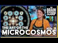 Exploring the Microcosmos