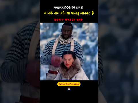 I wish I could have such an intelligent dog too.🤩🤩खास ऐसे समझदार dog मेरे पास भी हो #trandingshorts