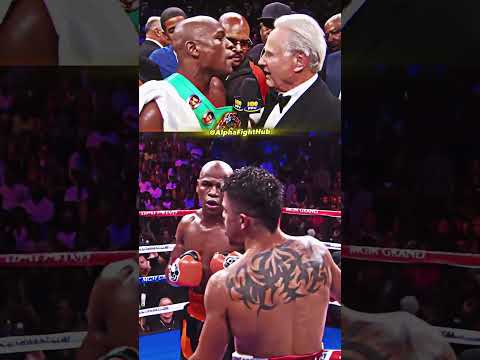 Floyd Fights Reporter! #floydmayweather #boxing