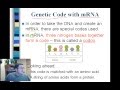 Translation and Transcription Concepts