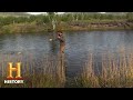 Understanding the Moose Encounter