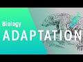 Exploring Organism Adaptations in Ecology