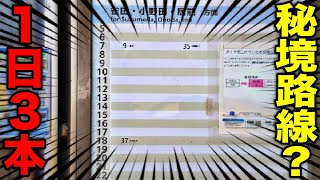 【たった3本！】日本一本数の少ない路線がエグすぎたww