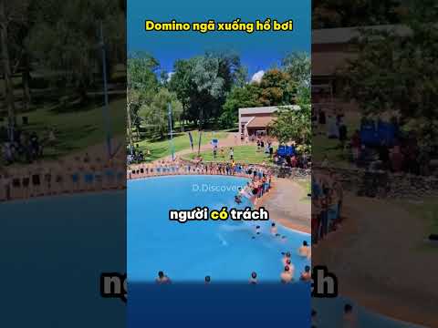 Domino ngã xuống hồ bơi
