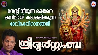 മനസ്സ് നീറുന്ന ഭക്തനെ കനിവായി കടാക്ഷിക്കുന്ന ദേവിഭക്തിഗാനങ്ങൾ | Devi Devotional Songs Malayalam