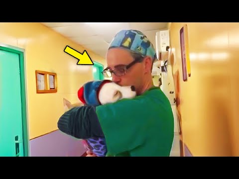 Un Chiot Abandonné Ne Cesse De Pleurer. Ce Que Le Refuge Fait Ensuite Est Hyper Choquant !