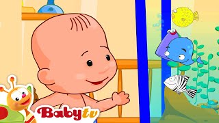 Aquarium Magic 🐠🐟 | Fun & Music with Fish @BabyTV