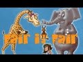 Animal Fairness and Food Distribution